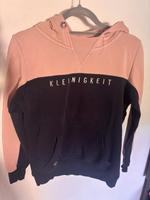 Kleinigkeit Hoodie Thüringen - Nordhausen Vorschau