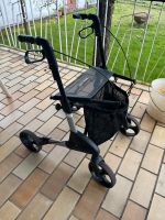 Rollator - TOPRO Ecco - TOP-Zustand - Leichtgewichtrollator Saarland - Neunkirchen Vorschau