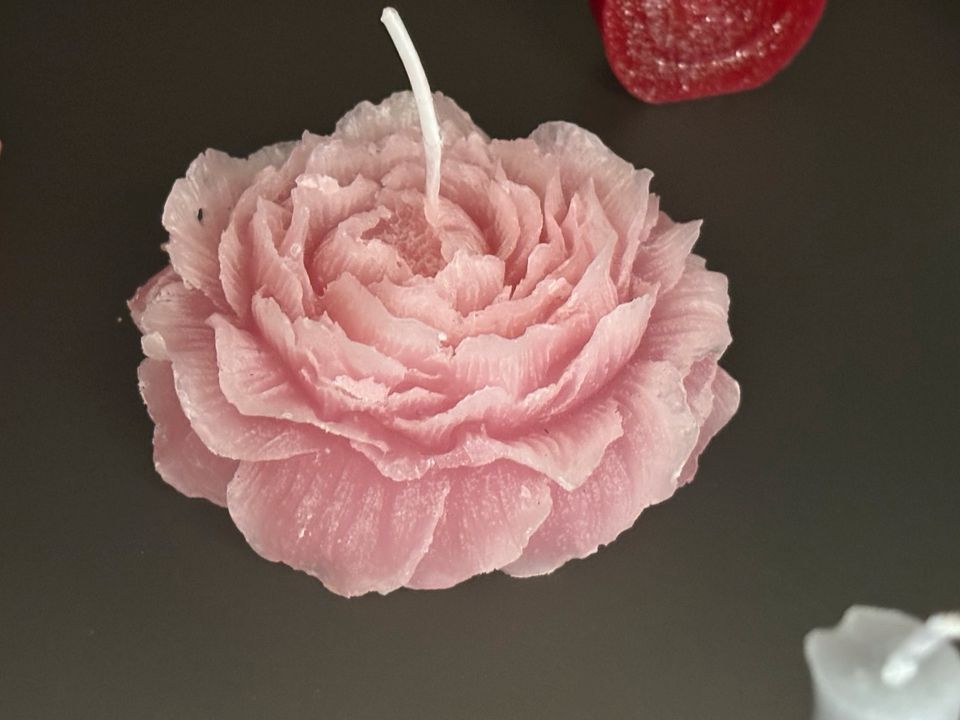 Rosa rose Kerze in Schleswig