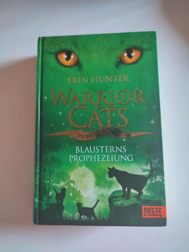 Warrior Cats Special Adventures Blausterns Prophezeiung Hardcover in Dietzenbach