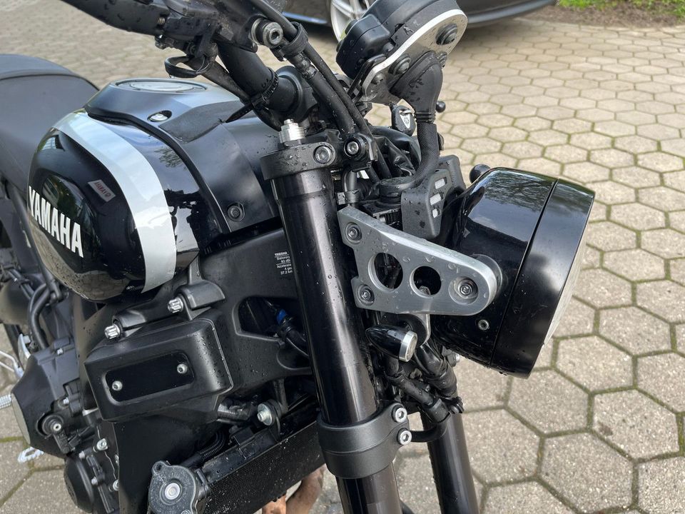 Yamaha XSR 900 in Haseldorf