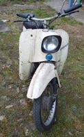 kr51/1 simson Schwalbe KBA Vape 60km/h Sachsen-Anhalt - Gardelegen   Vorschau