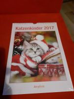 Katzenkinder Kalender 2017 Nordrhein-Westfalen - Meschede Vorschau