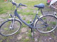 Koch, Damen, Fahrrad, Citybike, 28" Wurster Nordseeküste - Nordholz Vorschau