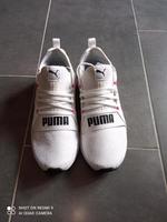 Puma Sneaker Softride 40,5 neuwertig! Sachsen - Marienberg Vorschau