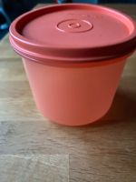 Tupperware kleine Dose 550 ml Nordrhein-Westfalen - Porta Westfalica Vorschau