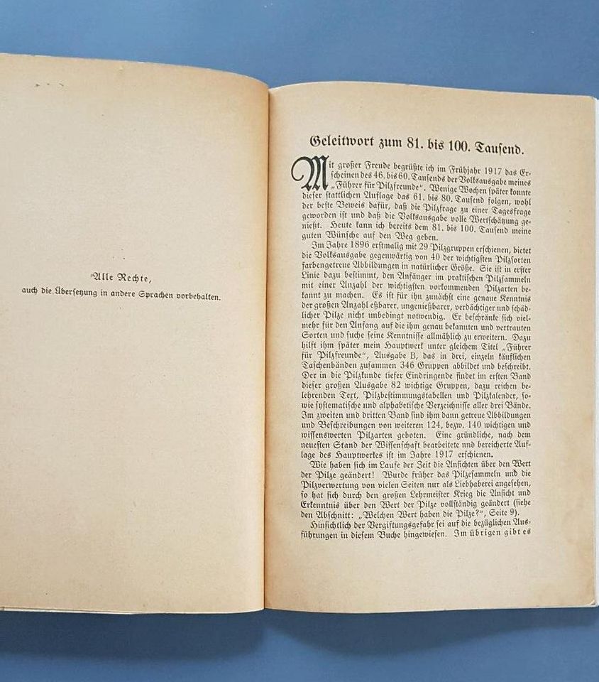 Führer für Pilzfreunde Buch Volksausgabe 1919 alt antik Sammler in Weil am Rhein