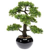 Emerald Kunstpflanze Bonsai Ficus Grün 47 cm 420006 Bayern - Bad Kissingen Vorschau