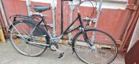 Fahrrad 28 Zoll von Union Damenrad Berlin - Steglitz Vorschau