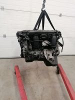 Motor Komplett BMW E90 E91 E92  N52B25A 325i 115.000km 12 Monate Brandenburg - Küstriner Vorland Vorschau