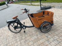 Babboe Curve E, 26" (Akku 450 Wh) mit Regenabdeckung & Sitzkissen Deggendorf - Rettenbach Vorschau