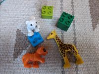 Lego Duplo 10801 Jungtiere Tierbabys Bayern - Geroldshausen Vorschau