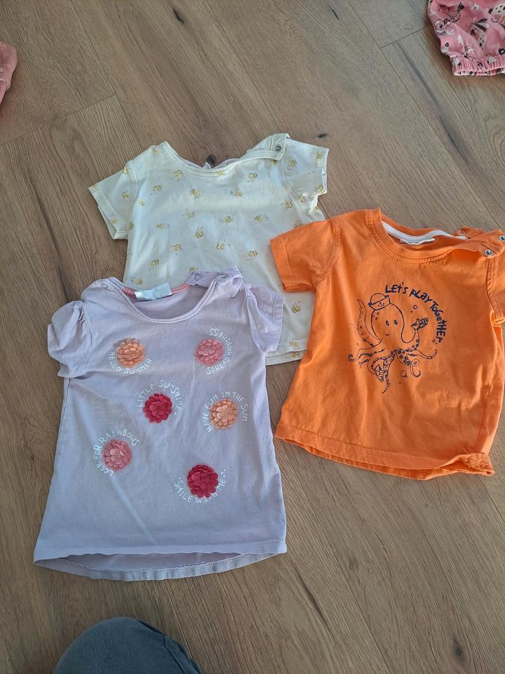 3 x tshirts in Neukirchen vorm Wald