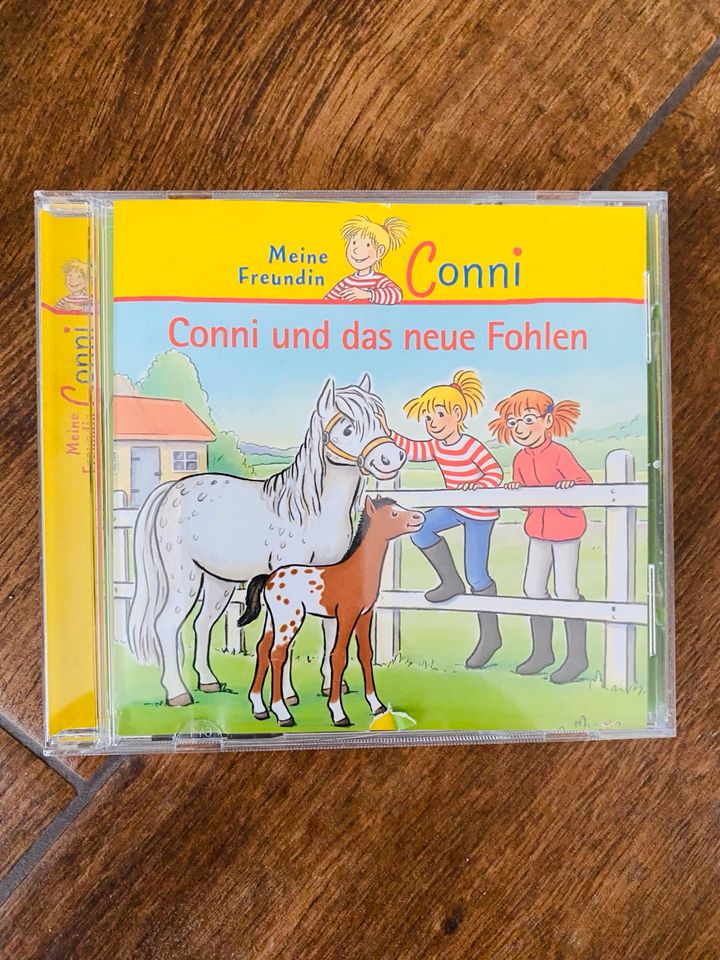 CD Conni und das neue Fohlen in Glauburg