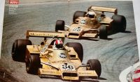 Arrows FA1 Formel 1 / Stommelen Patrese - altes Poster von 1978 Niedersachsen - Verden Vorschau