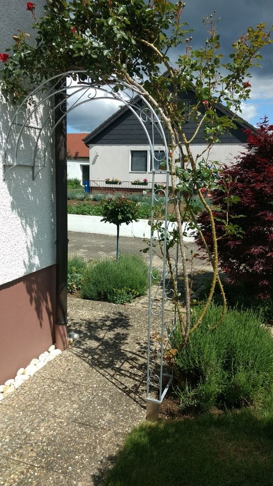 Wandrosenbogen Pergola Holland Rund Halb Bogen Wand Rosenbögen in Görlitz