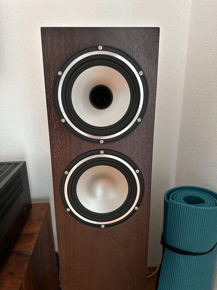 Tannoy revolution xt 6f Walnuss in Steinheim