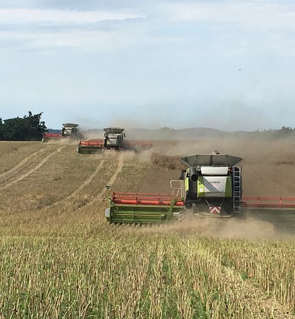 Spritzen- Mähdrescherfahrer Landwirt Fachkraft Agrarservice Claas in Altentreptow