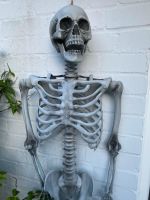 Skelette, Kunststoff, 160 cm, Halloween, Deko Innenstadt - Köln Deutz Vorschau
