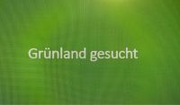 Grünland (Pacht oder Kauf) Niedersachsen - Rhauderfehn Vorschau