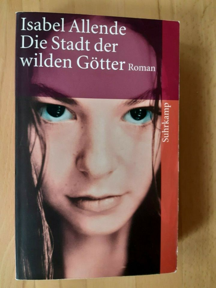 "Die Stadt der wilden Götter" Isabel Allende, Taschenbuich in Wassenberg