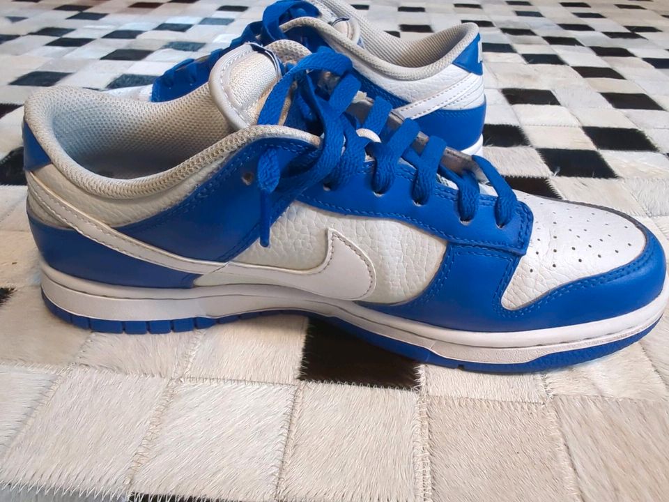 Nike Dunk Low FN3416-001 PHOTON DUST/WHITE/RACER BLUE  Gr. 42 in Düsseldorf