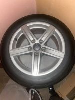 205/55R16 91V // 16 Zoll 5Speichen-Stern-Design // Sommerreifen Nordrhein-Westfalen - Rheine Vorschau