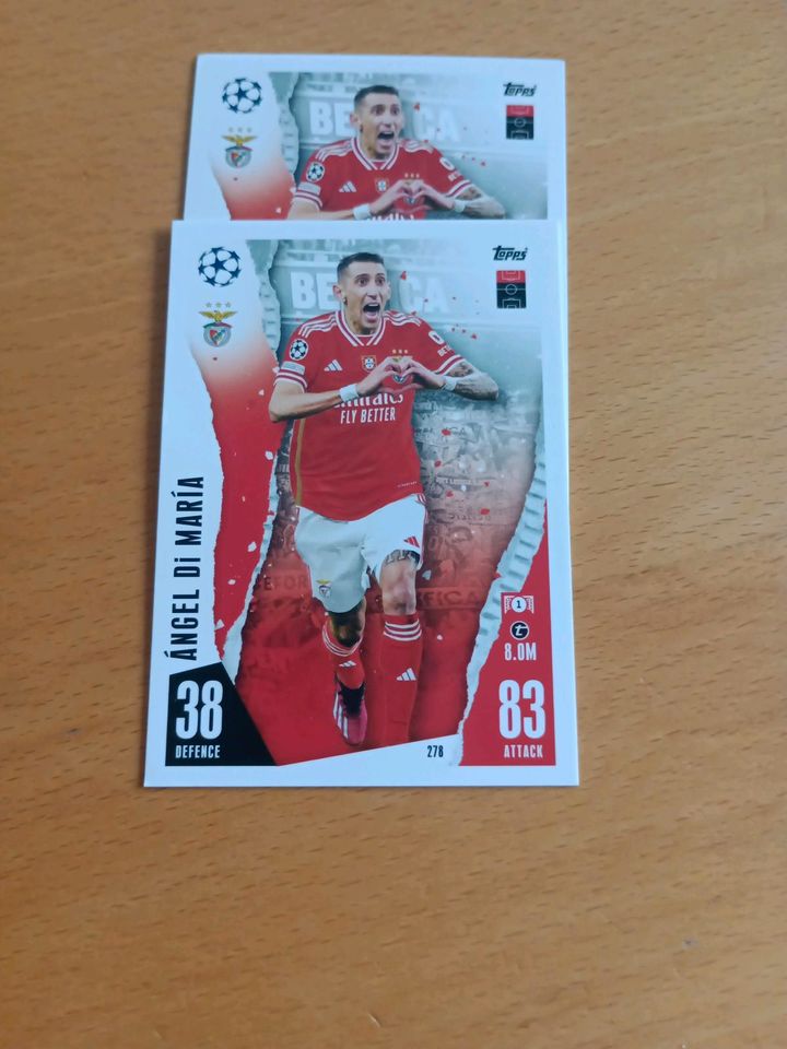 Match Attax Champions League 23/24 Newcastle United & Sl Benfica in Weil der Stadt