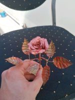 Rose kufper Niedersachsen - Garrel Vorschau