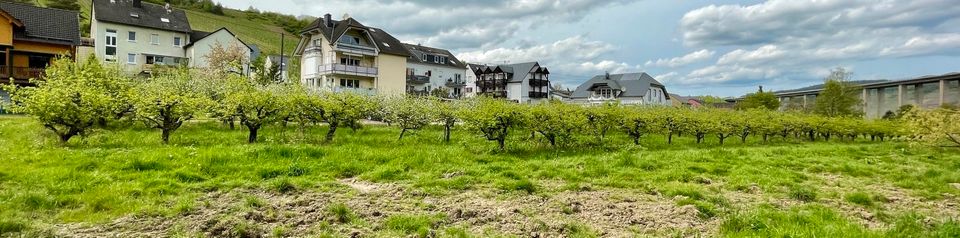 Grundstück - großer Apfelbaumbestand zu verpachten - ab sofort! in Fell