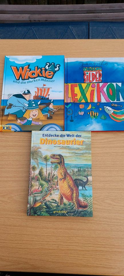 40x Kinderbücher Bücher Duden Schule lesen Buch Bilderbücher in Rinteln