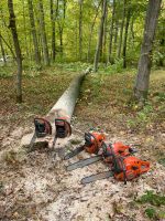 Baumfällung Baumpflege Wurzel fräsen Garten- & Landschaftspflege Sachsen-Anhalt - Bernburg (Saale) Vorschau