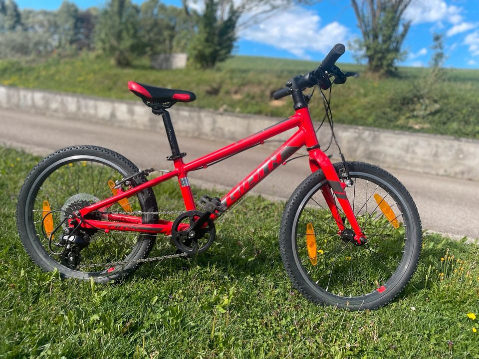 Kinderfahrrad Giant 20 Zoll rot in Bayern - Obergünzburg | Kinderfahrrad  gebraucht kaufen | eBay Kleinanzeigen ist jetzt Kleinanzeigen