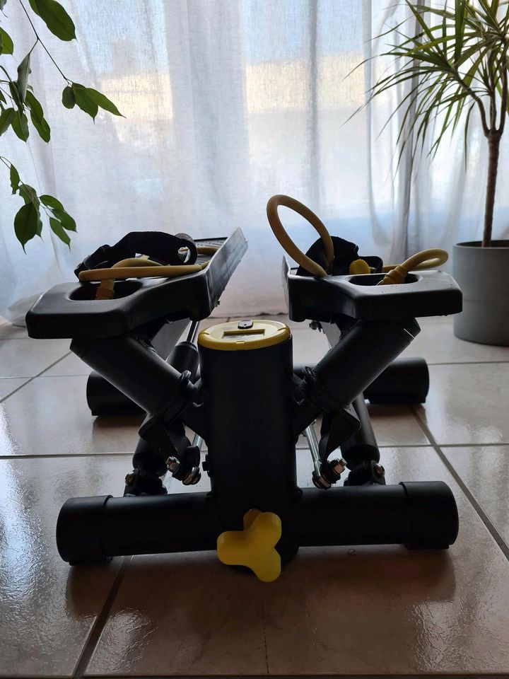 Crane 2-in-1-Swing Stepper mit längenverstellbaren Fitnessbändern in Reidenhausen