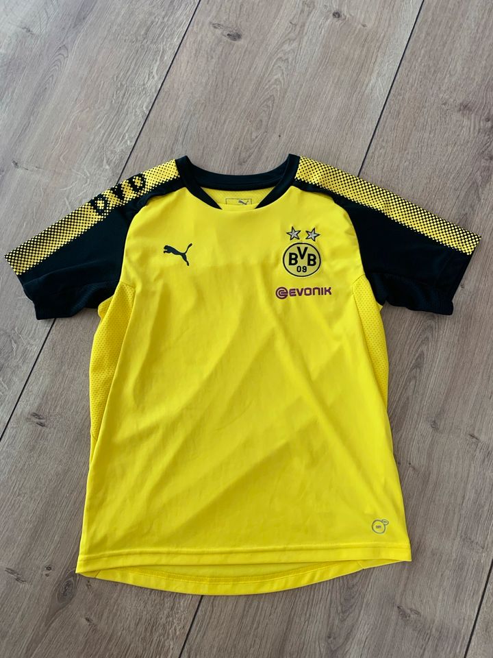 BVB Trikot 152 in Wesendorf