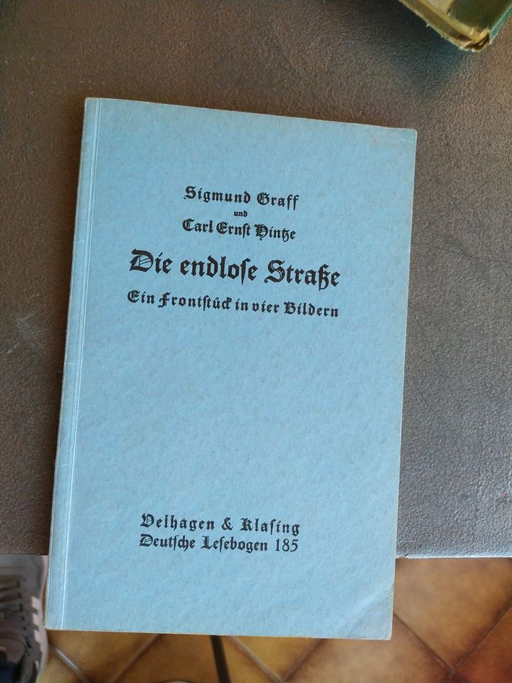 Die endloße Straße, Buch alt, antik in Koblenz