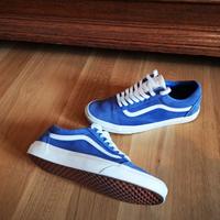 Vans Old Skool Herren | Blau Weiß | EU44 US10.5 | Gebraucht Hessen - Kelkheim Vorschau
