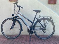 Damen Trekkingrad 28 Zoll - Morrison TR 230 Schleswig-Holstein - Wankendorf Vorschau