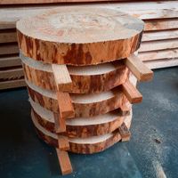 Baumscheiben Holzscheiben Holz Deko Epoxid epoxy Thüringen - Stadtroda Vorschau