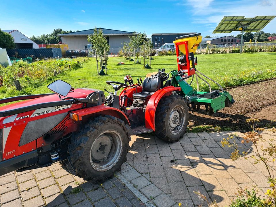 Rasen Blumenwiese Blühstreifen in Lathen