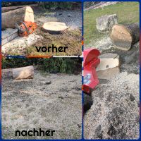 Baumstumpf entfernen, Stumpenfräse, Dienstleistung, Wurzelfräsen Baden-Württemberg - Beuren Vorschau