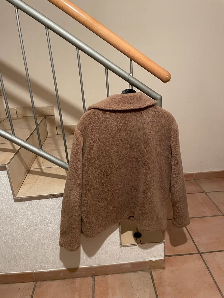 Teddy Jacke zu verkaufen in Rietberg