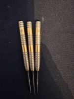 Darts Daryl Gurney 22g Nordrhein-Westfalen - Warendorf Vorschau