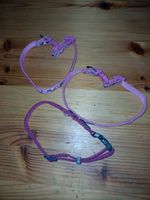 Hundehalsband pink und bordeaux Hessen - Michelstadt Vorschau