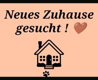 3-5 Zimmer Wohnung / Haus zur Miete Nordrhein-Westfalen - Hüllhorst Vorschau