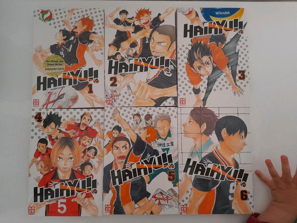 Manga / Haikyu!! / 1-8 / Deutsche Ausgabe / Kaze in Dresden