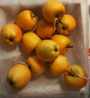 12 künstliche Äpfel Ø 4cm Dekoobst Kunstobst gelb/orange Styropor Sachsen - Gelenau Vorschau