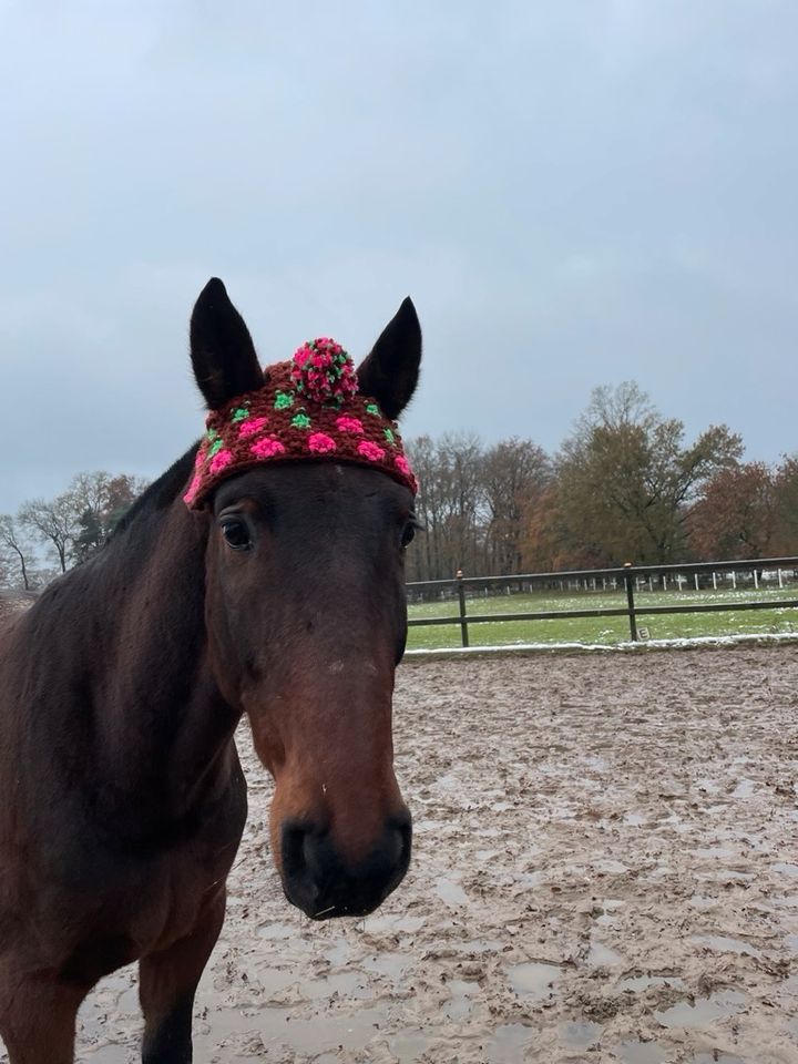 Pudelmütze Bommelmütze Strickmütze für Pferd & Pony in Bösleben-Wüllersleben