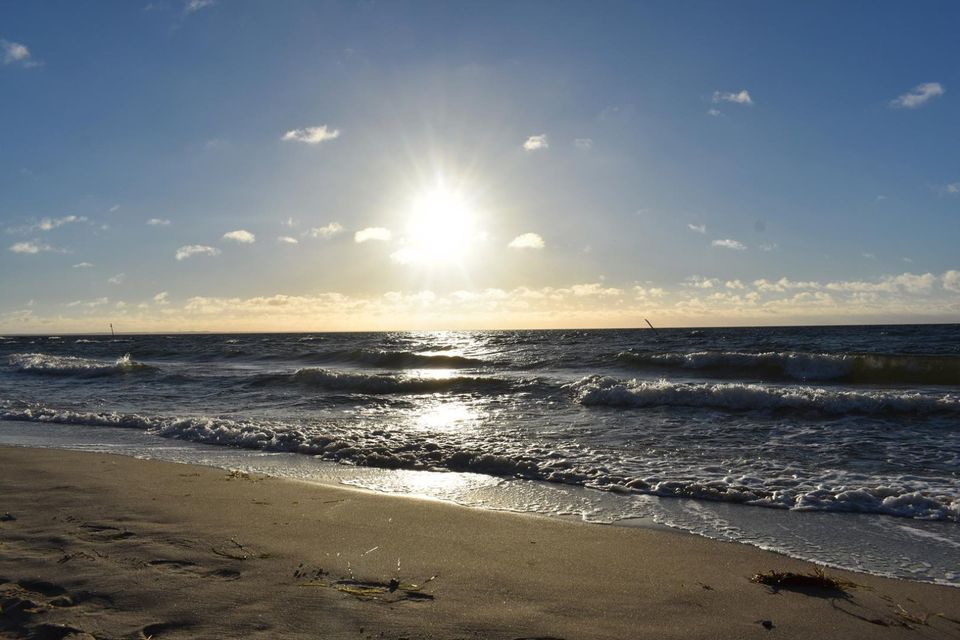 Last Minute Hundeurlaub-Ferienwohnung direkt an der Ostsee-Rügen in Thiessow