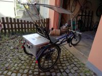 Elektro Dreirad Trike Liegerad Solarbike Spezialfahrzeug Bayern - Königsberg i. Bayern Vorschau